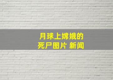 月球上嫦娥的死尸图片 新闻